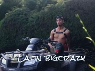 Latin_bigcrazy
