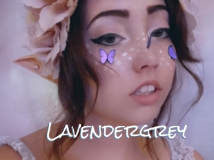 Lavendergrey