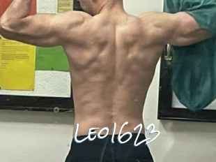 Leo1623