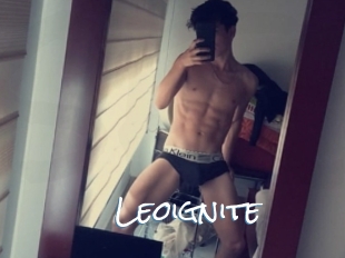 Leoignite