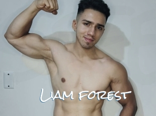 Liam_forest