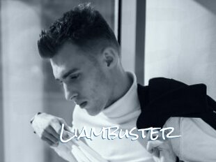 Liambuster