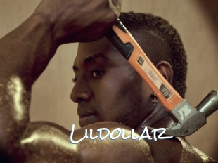 Lildollar