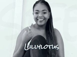 Lillylotus