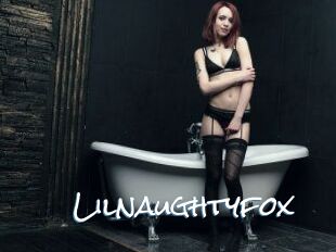 Lilnaughtyfox
