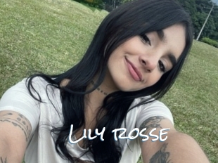 Lily_rosse