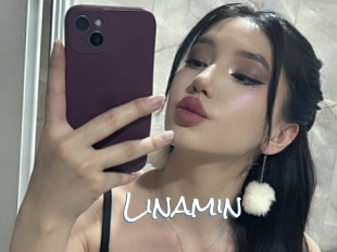 Linamin