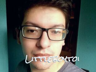 Littleboytoi