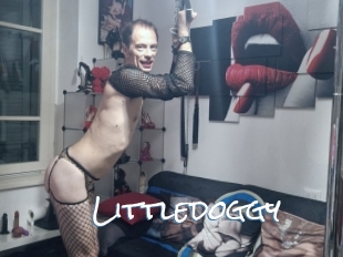 Littledoggy