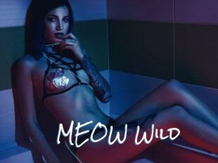 MEOW_Wild