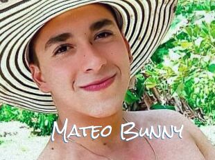 Mateo_Bunny
