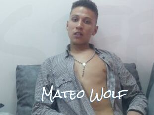 Mateo_Wolf