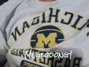 Meglodong1