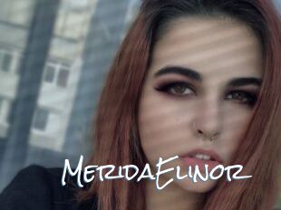 MeridaElinor