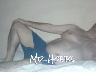 Mr_Hobbs