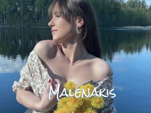 Malenakis