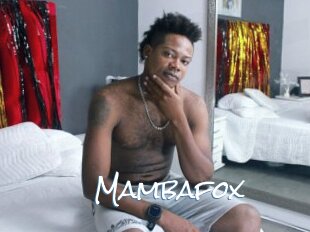 Mambafox