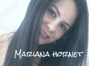 Mariana_hornet
