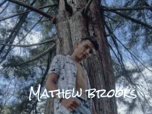 Mathew_brooks