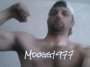 Mdogg1977