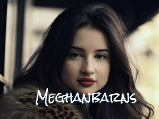 Meghanbarns