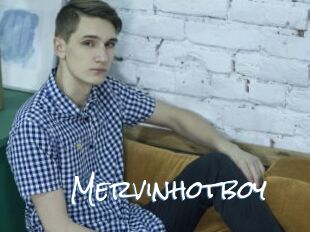 Mervinhotboy