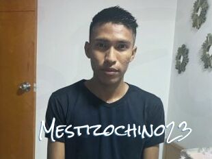Mestizochino23