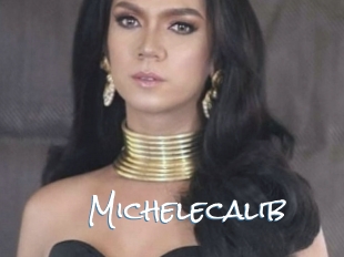 Michelecalib