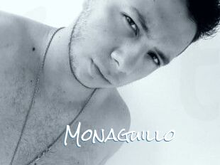 Monaguillo