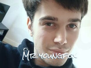 Mr_youngfox