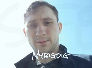 Mybigdig