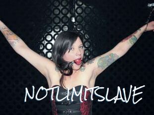 NOTLIMITSLAVE