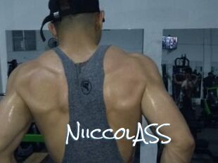 NiiccolASS