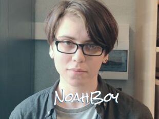 NoahBoy