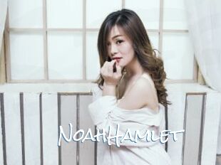 NoahHamlet
