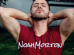 NoahMorton