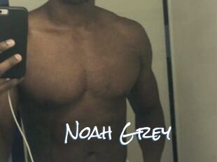 Noah_Grey