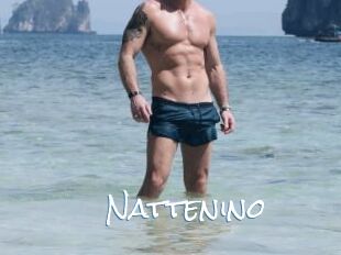 Nattenino