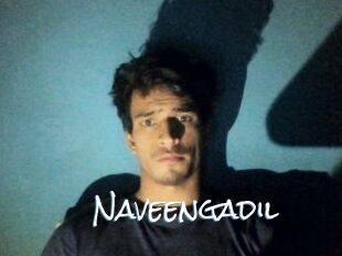 Naveengadil