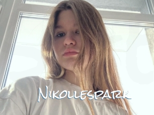 Nikollespark