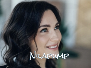 Nilapump
