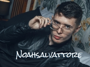 Noahsalvattore