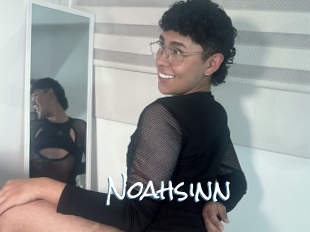 Noahsinn