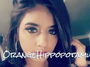 OrangeHippopotamus