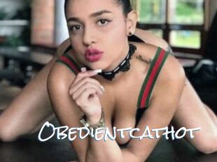 Obedientcathot
