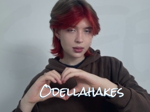 Odellahakes