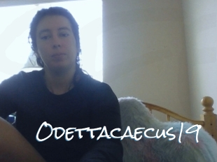 Odettacaecus19