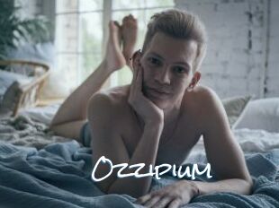 Ozzipium