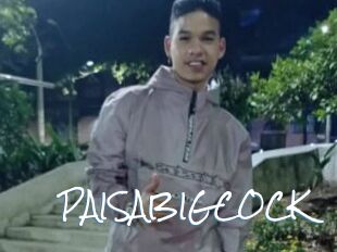 PAISABIGCOCK