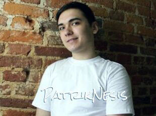PatrikNesis